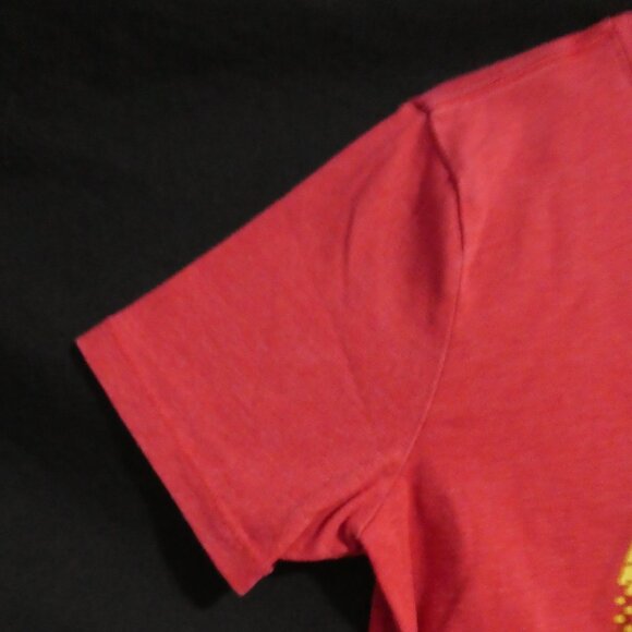 GAP KIDS - DC Comics | medium | Flash Red Short Sleeve The Flash Graphic Tee - Picture 3 of 13